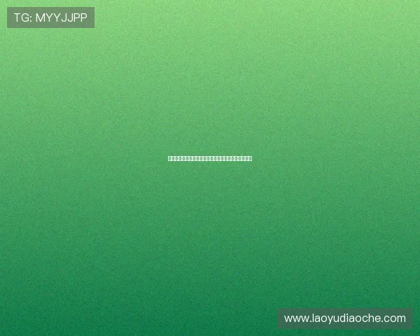 深入了解凯发体育客服的服务项目，提升你的游戏体验